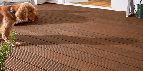 Hund steht auf einer braunen Terrassendielenfläche vor einer geöffneten Tür.